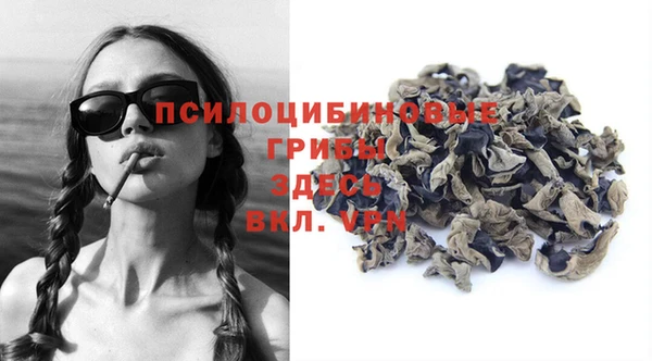 мяу мяу кристалл Богданович